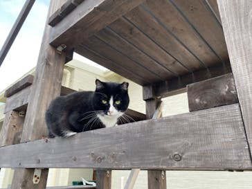 伊豆高原ダイビングスクール 渋谷店に投稿された画像（2024/11/10）