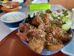 伊豆高原ダイビングスクール 渋谷店に投稿された画像（2024/11/10）