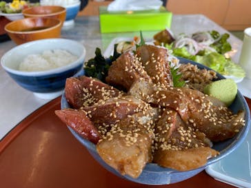 伊豆高原ダイビングスクール 渋谷店に投稿された画像（2024/11/10）