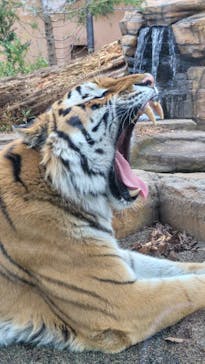 那須どうぶつ王国に投稿された画像（2024/11/10）