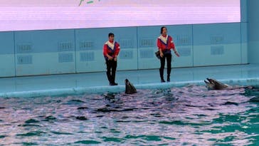 横浜・八景島シーパラダイスに投稿された画像（2024/11/10）