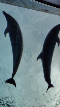 横浜・八景島シーパラダイスに投稿された画像（2024/11/10）