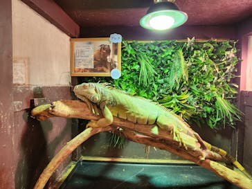 Moff animal cafe イオンモール幕張新都心店に投稿された画像（2024/11/10）