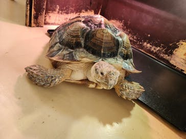 Moff animal cafe イオンモール幕張新都心店に投稿された画像（2024/11/10）