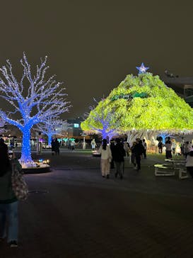 東京メガイルミに投稿された画像（2024/11/10）