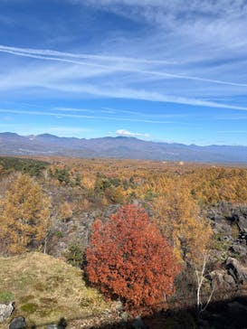鬼押出し園に投稿された画像（2024/11/10）