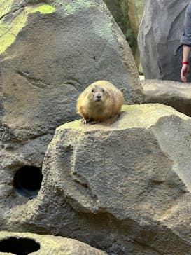 神戸どうぶつ王国に投稿された画像（2024/11/10）