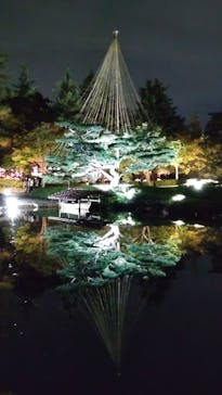 国営昭和記念公園 秋の夜散歩に投稿された画像（2024/11/10）