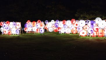 国営昭和記念公園 秋の夜散歩に投稿された画像（2024/11/10）