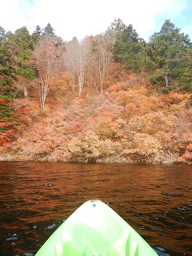 ワンドロップ アウトドアガイドサービスに投稿された画像（2024/11/10）