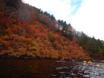 ワンドロップ アウトドアガイドサービスに投稿された画像（2024/11/10）