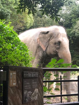 到津の森公園に投稿された画像（2024/11/10）