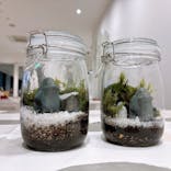 ムーミンバレーパークに投稿された画像（2024/11/10）