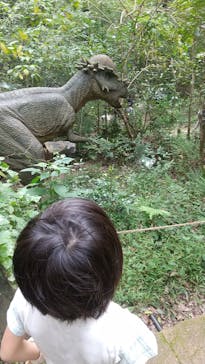 みろくの里に投稿された画像（2024/11/10）