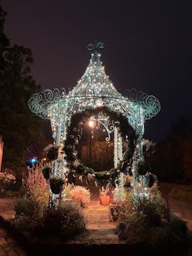 ガーデンミュージアム比叡に投稿された画像（2024/11/10）