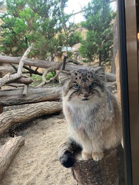 那須どうぶつ王国に投稿された画像（2024/11/10）