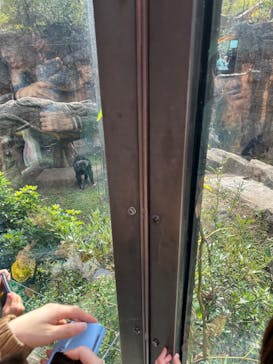 恩賜上野動物園に投稿された画像（2024/11/10）