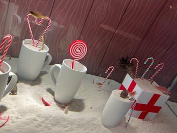 新江ノ島水族館に投稿された画像（2024/11/10）