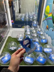 佐賀バルーンミュージアムに投稿された画像（2024/11/10）