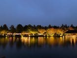 国営昭和記念公園 秋の夜散歩に投稿された画像（2024/11/10）