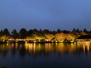 国営昭和記念公園 秋の夜散歩に投稿された画像（2024/11/10）