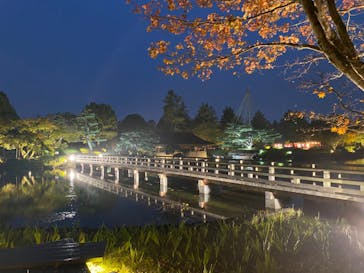 国営昭和記念公園 秋の夜散歩に投稿された画像（2024/11/10）