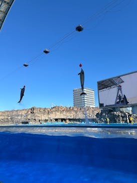 名古屋港水族館に投稿された画像（2024/11/10）