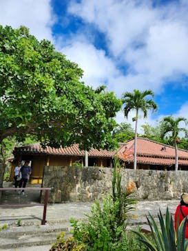 おきなわワールドに投稿された画像（2024/11/10）