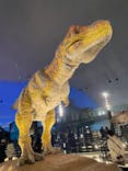 福井県立恐竜博物館に投稿された画像（2024/11/10）