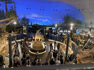 福井県立恐竜博物館に投稿された画像（2024/11/10）