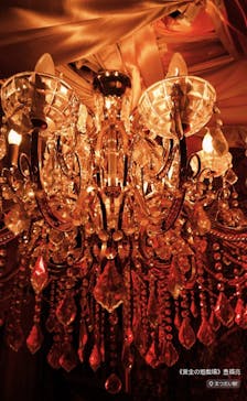 大地の芸術祭 実行委員会に投稿された画像（2024/11/10）