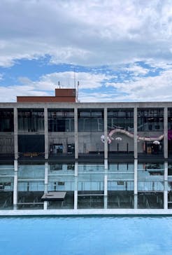 大地の芸術祭 実行委員会に投稿された画像（2024/11/10）