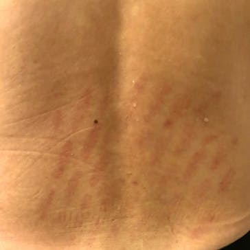 箱根湯寮に投稿された画像（2024/11/10）