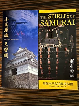 小田原城に投稿された画像（2024/11/10）