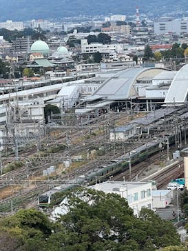 小田原城に投稿された画像（2024/11/10）