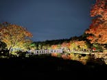 国営昭和記念公園 秋の夜散歩に投稿された画像（2024/11/10）