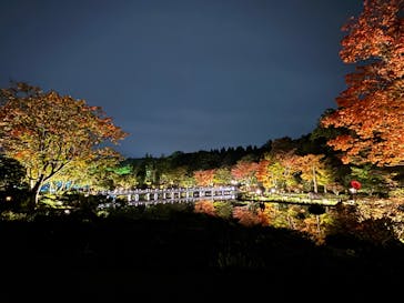 国営昭和記念公園 秋の夜散歩に投稿された画像（2024/11/10）