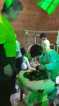 おさるランド＆アニタウン　日光さる軍団劇場に投稿された画像（2024/11/10）