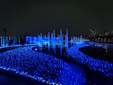 東京メガイルミに投稿された画像（2024/11/10）