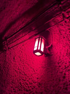 清津峡渓谷トンネルに投稿された画像（2024/11/10）