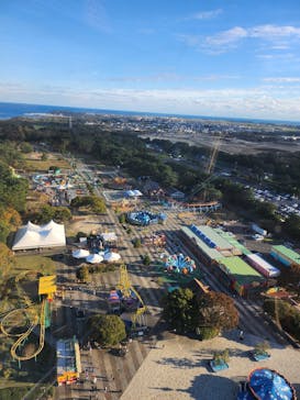 国営ひたち海浜公園プレジャーガーデンに投稿された画像（2024/11/10）