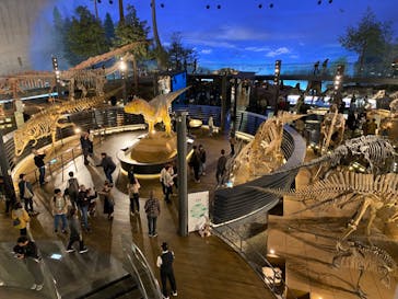 福井県立恐竜博物館に投稿された画像（2024/11/10）