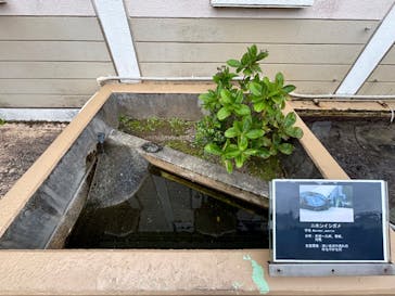 下田海中水族館に投稿された画像（2024/11/10）