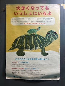 下田海中水族館に投稿された画像（2024/11/10）