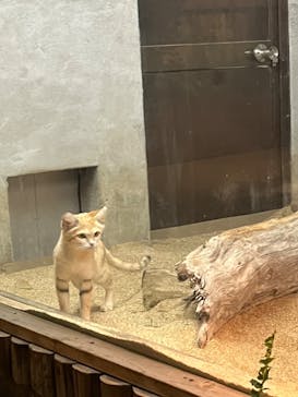 神戸どうぶつ王国に投稿された画像（2024/11/10）