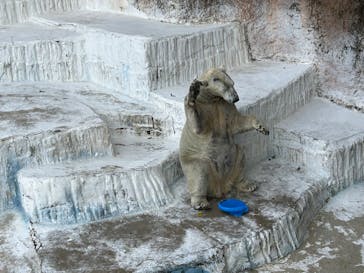天王寺動物園に投稿された画像（2024/11/10）