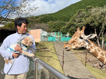 伊豆アニマルキングダムに投稿された画像（2024/11/11）