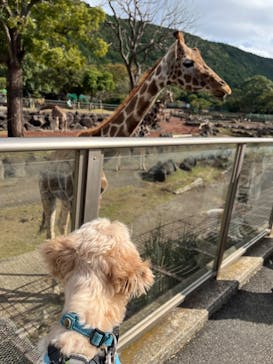 伊豆アニマルキングダムに投稿された画像（2024/11/11）