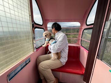 伊豆アニマルキングダムに投稿された画像（2024/11/11）