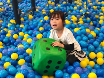 ASOBIG（あそびっぐ）に投稿された画像（2024/11/11）